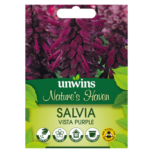 Nature's Haven Salvia Vista Purple Seeds Front