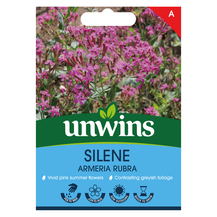 Unwins Silene Armeria Rubra Seeds