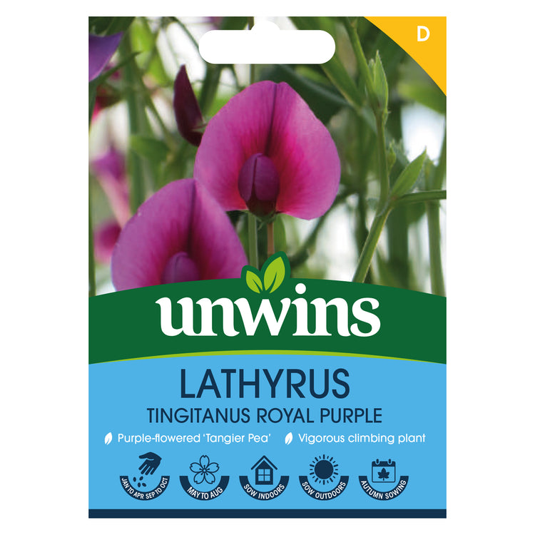 Unwins Lathyrus Tingitanus Royal Purple Seeds