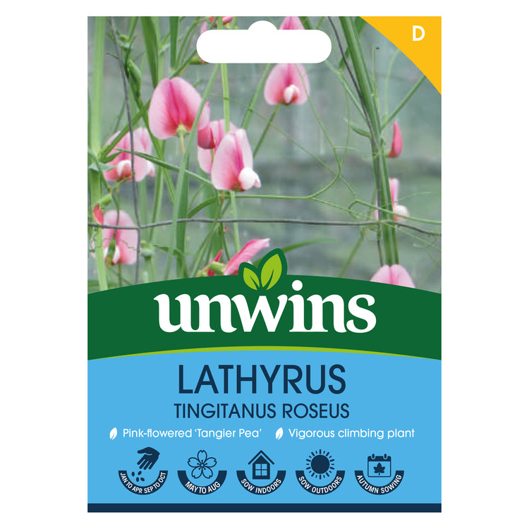 Unwins Lathyrus Tingitanus Roseus Seeds