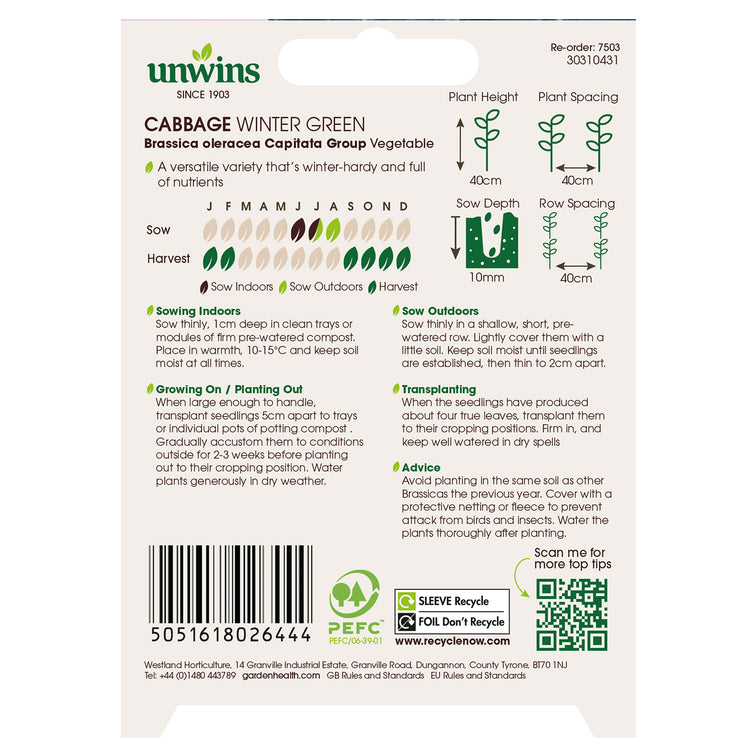 Unwins Cabbage Winter Green Seeds