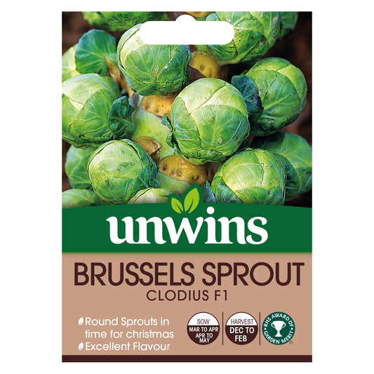 Unwins Brussels Sprout Clodius F1 Seeds front