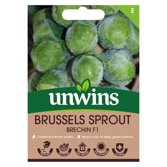 Unwins Brussels Sprout Brechin F1 Seeds Front