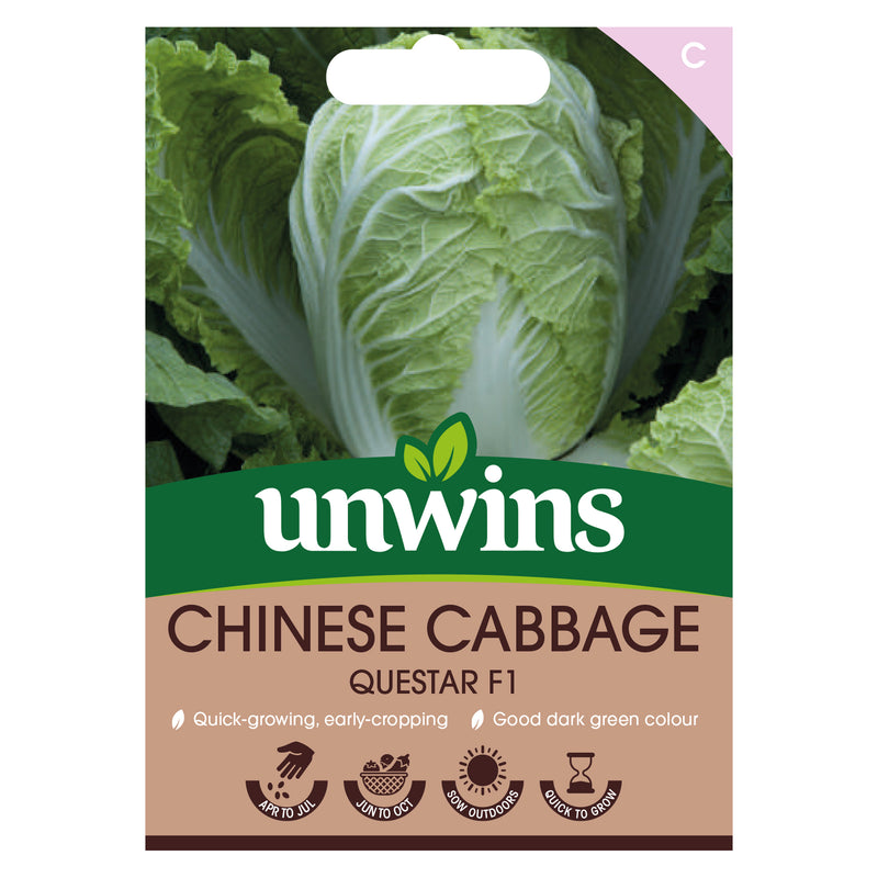Unwins Chinese Cabbage Questar F1 Seeds