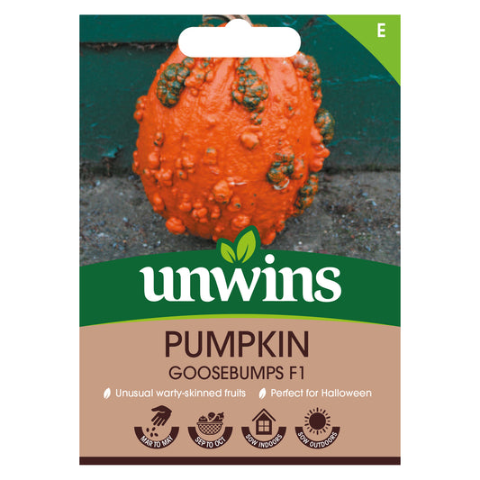 Unwins Pumpkin Goosebumps F1 Seeds front of pack