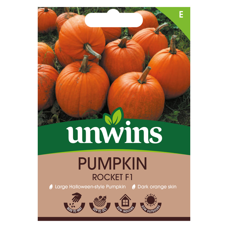 Unwins Pumpkin Rocket F1 Seeds