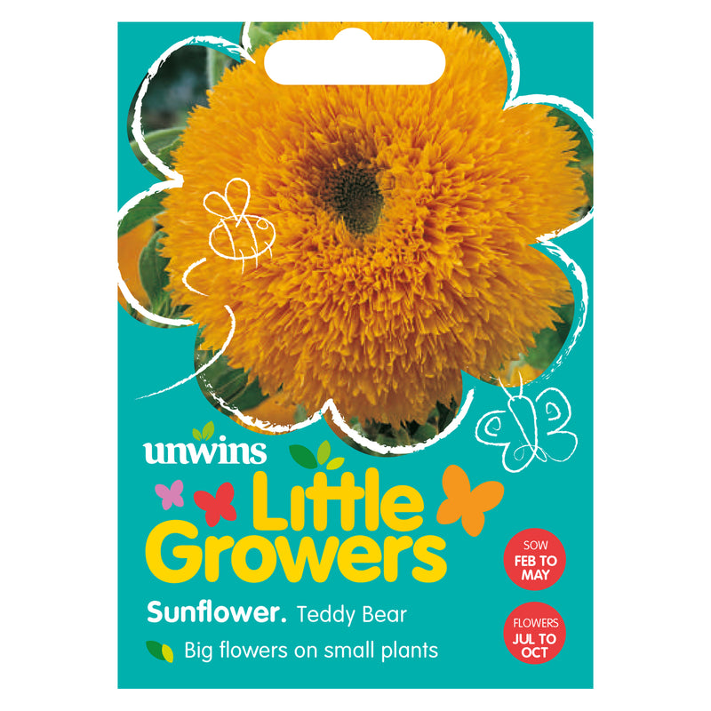 Little Growers Sunflower Teddy Bear Seeds