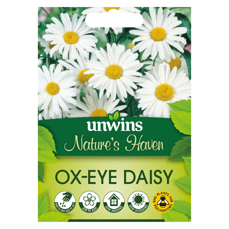 Nature's Haven Ox-eye Daisy Seeds