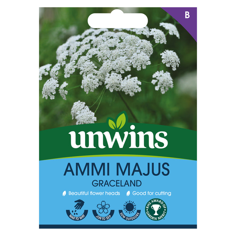Unwins Ammi Majus Graceland Seeds