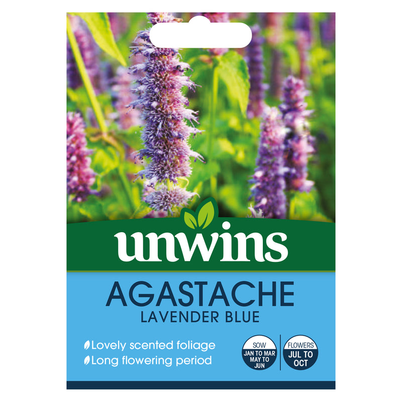 Unwins Agastache Lavender Blue Seeds
