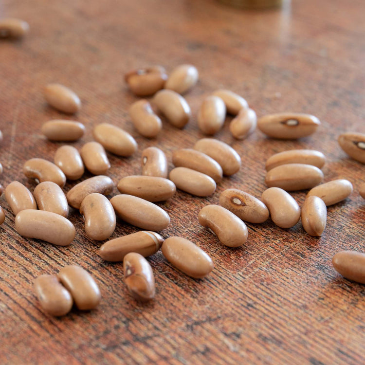 Unwins Climbing French Bean Goldfield Seeds