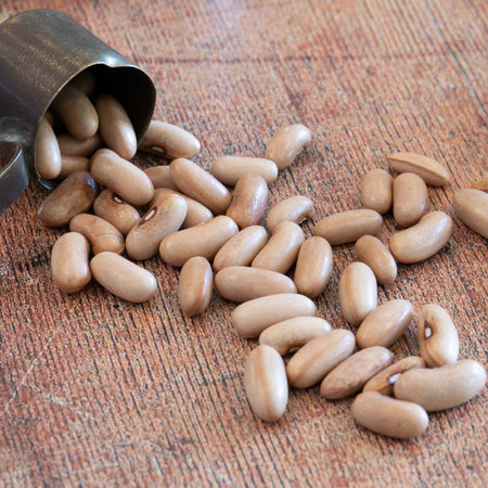 Unwins Dwarf French Bean Barlotta Lingua di Fuoco Nano Seeds
