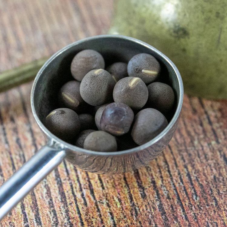 Unwins Sweet Pea Beaujolais Seeds