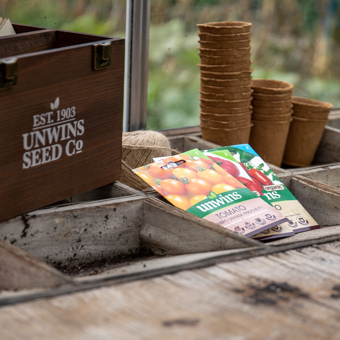 seeds to sow in april