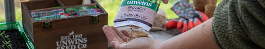 sowing seeds banner