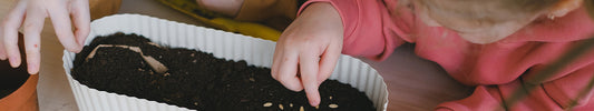 seeds to sow with children