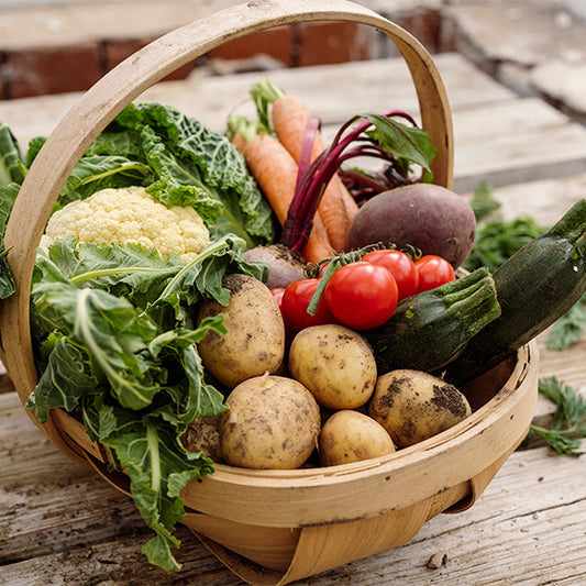Seeds to Sow in August