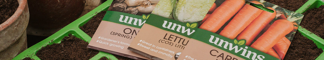 top tips growing from seed