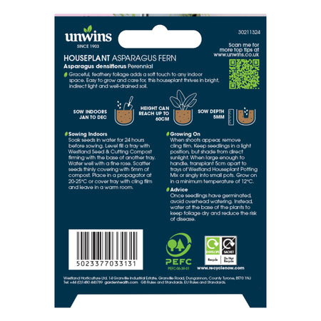 Unwins Houseplant Asparagus Fern Seeds