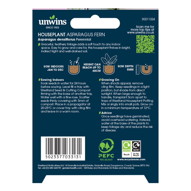 Unwins Houseplant Asparagus Fern Seeds