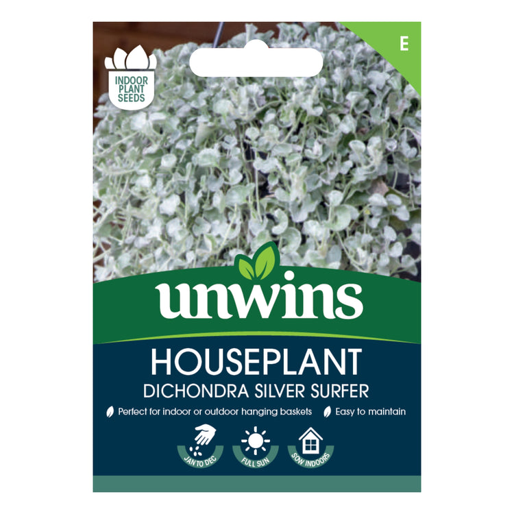 indoor hanging plant seeds Unwins Houseplant Dichondra Silver Surfer Seeds
