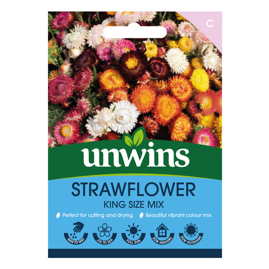 Helichrysum Strawflower King Size Mix