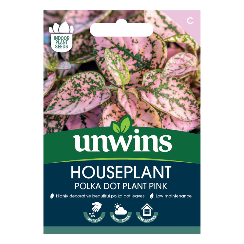 Unwins Houseplant Hypoestes Polka Dot Plant Pink Seeds