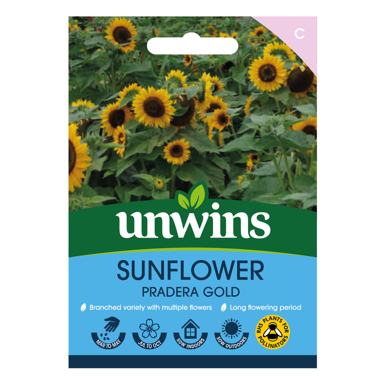 Unwins Sunflower Pradera Gold Seeds