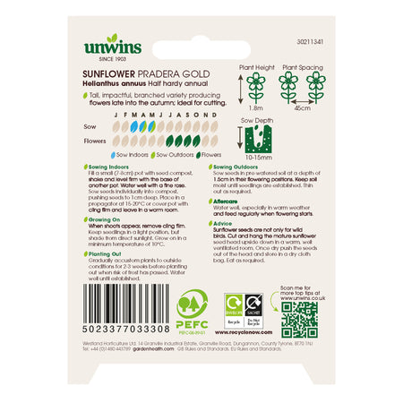 Unwins Sunflower Pradera Gold Seeds