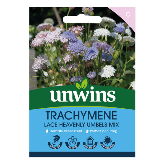 Unwins Trachymene Lace Heavenly Umbels Mix Seeds