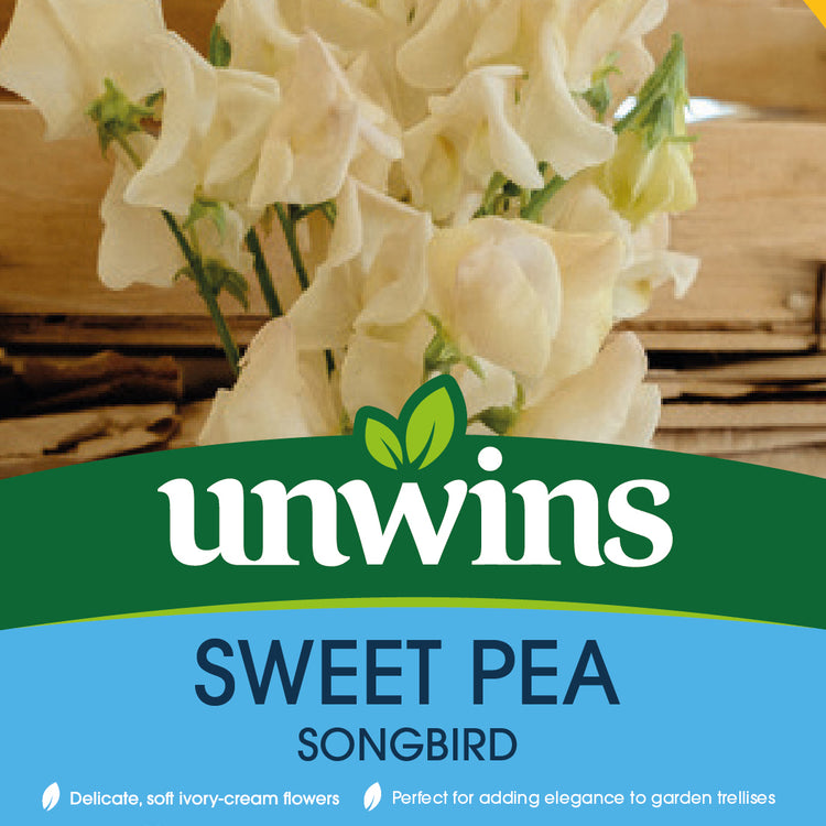 Unwins Sweet Pea Songbird Seeds