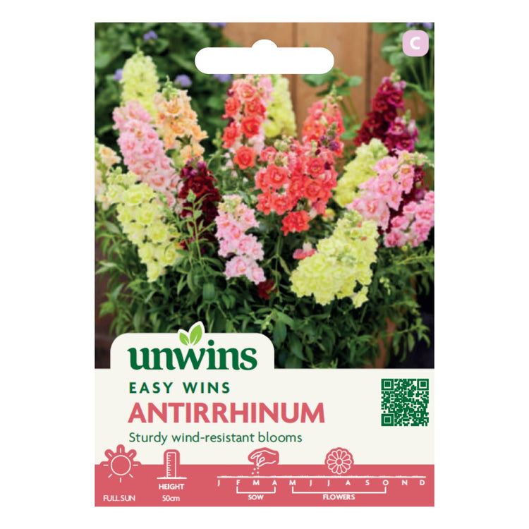 Unwins Easy Wins Antirrhinum