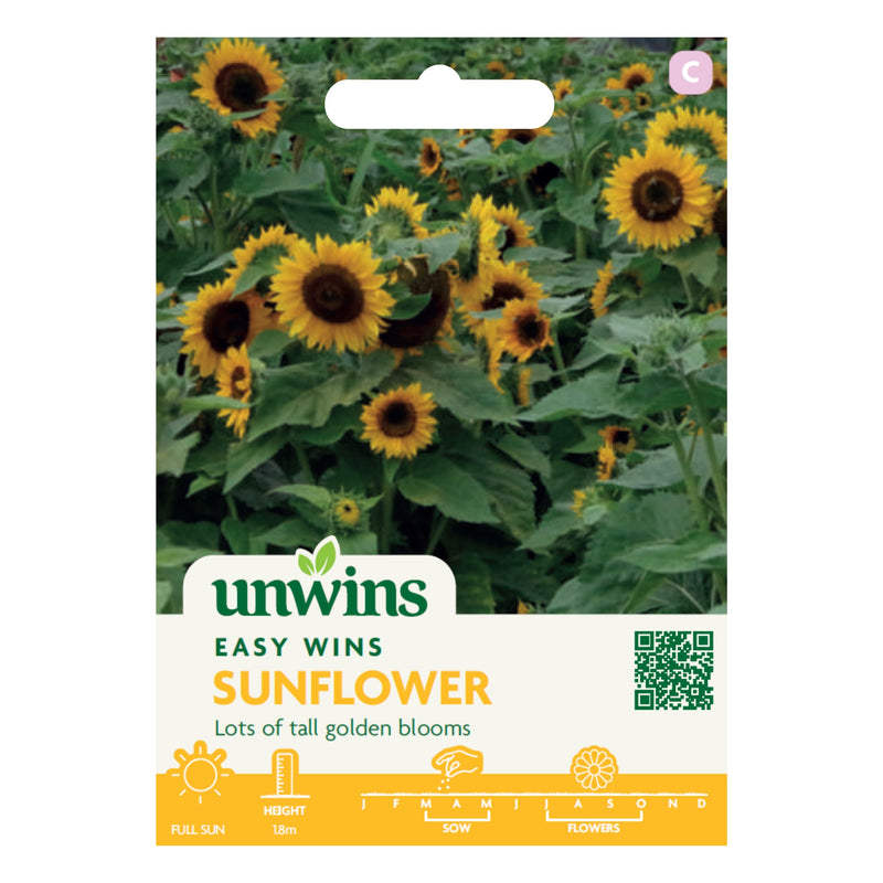 Unwins Easy Wins Sunflower