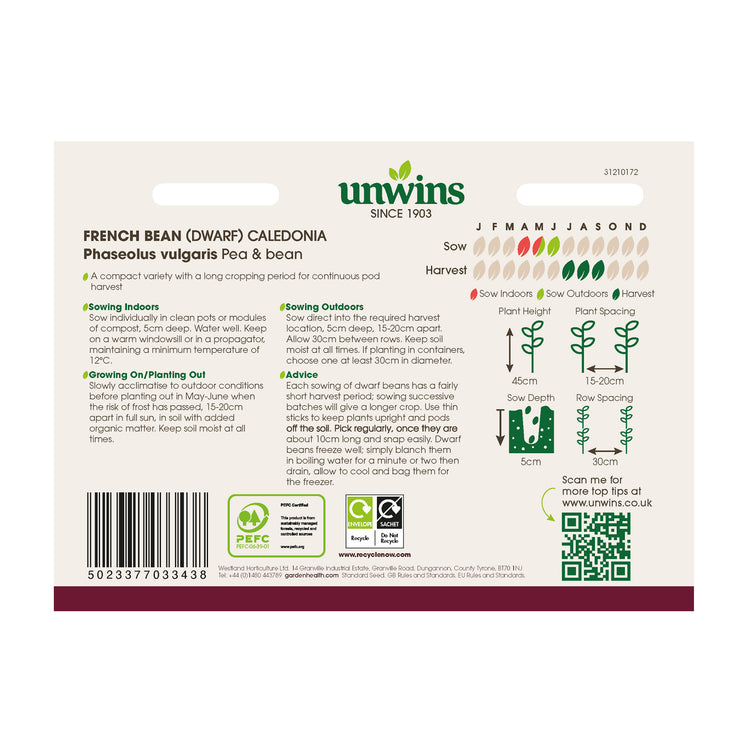Unwins Dwarf French Bean Caledonia Seeds