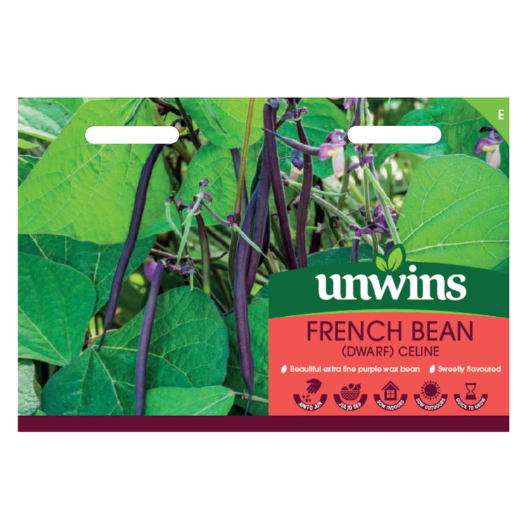 Unwins Dwarf French Bean Celine Seeds