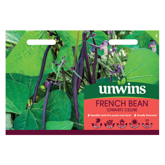 Unwins Dwarf French Bean Celine Seeds