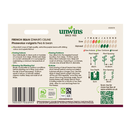 Unwins Dwarf French Bean Celine Seeds
