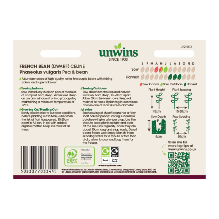 Unwins Dwarf French Bean Celine Seeds