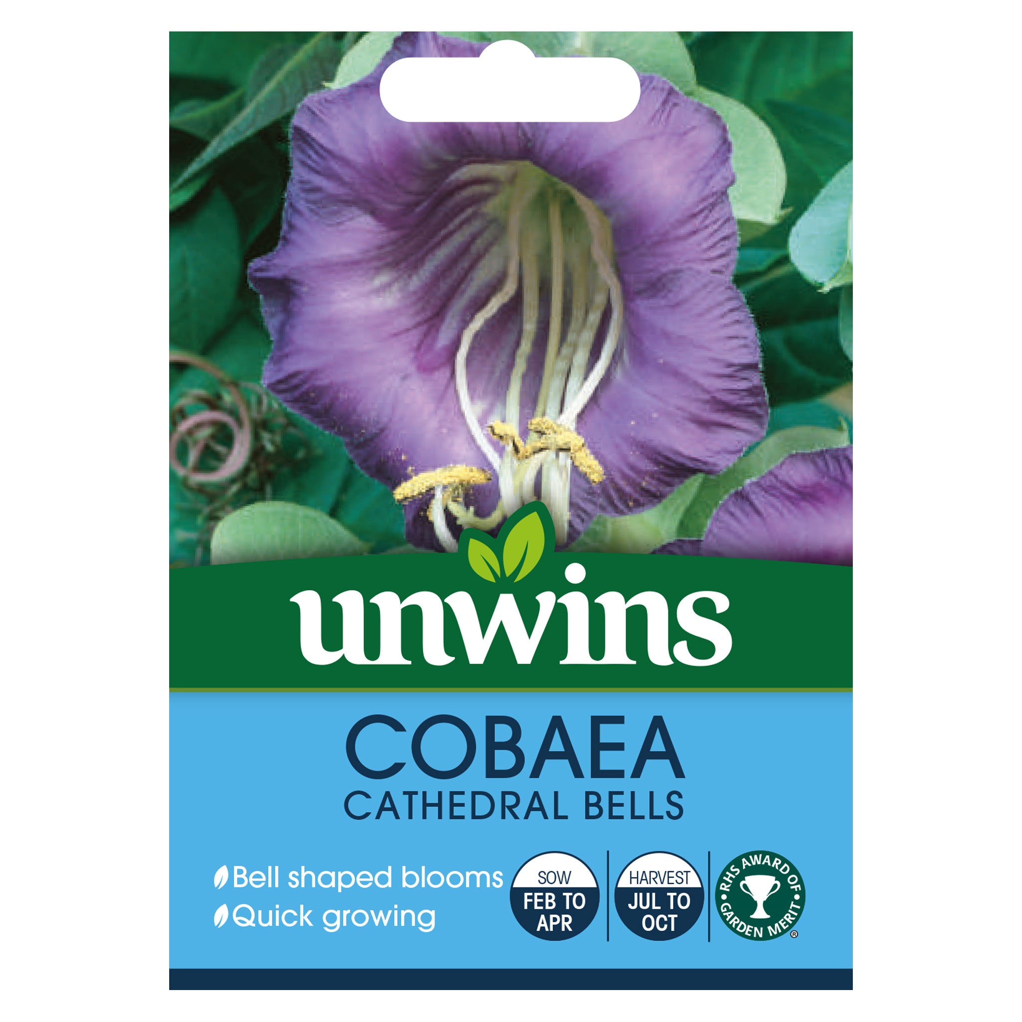 Unwins Cobaea Cathedral Bells Seeds