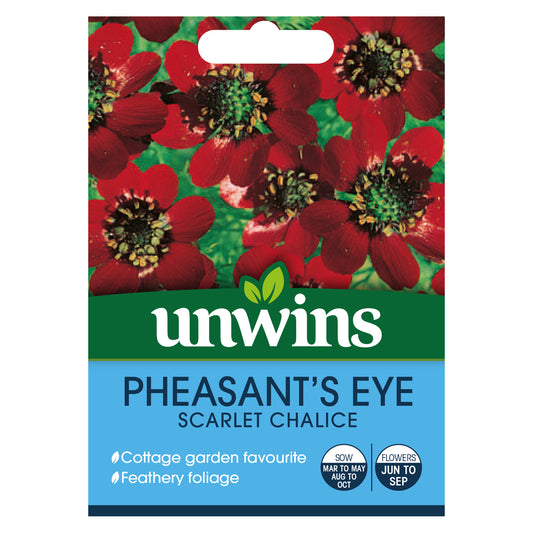 Unwins Pheasant's Eye Scarlet Chalice Seeds - front