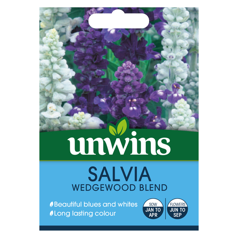 Unwins Salvia Wedgewood Blend Seeds