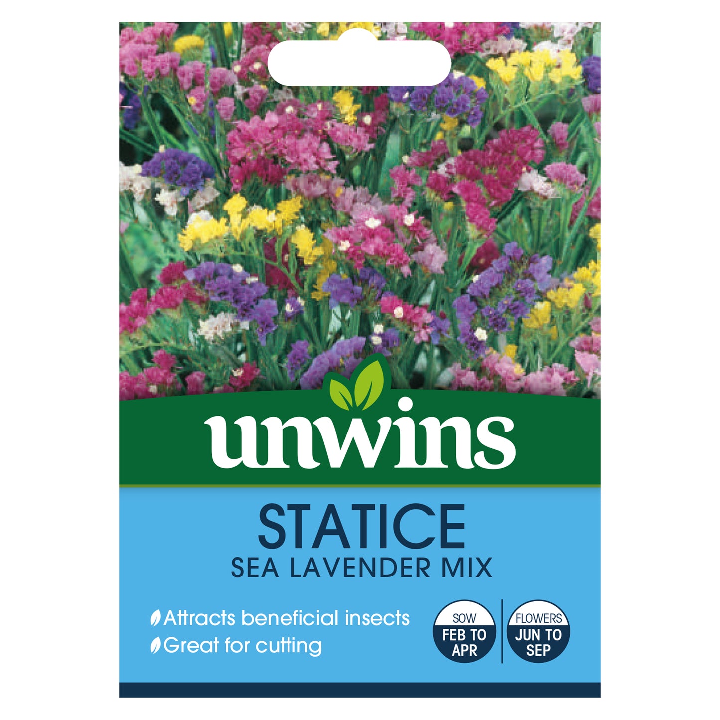 Unwins Statice Sea Lavender Mix Seeds - front