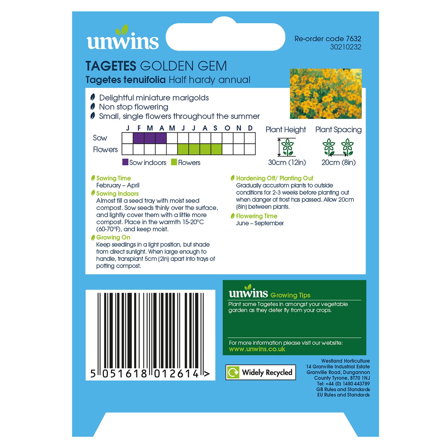 Unwins Tagetes Golden Gem Seeds - back