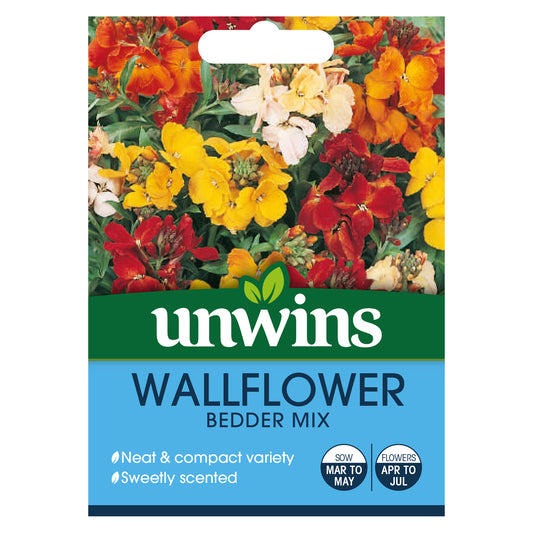 Unwins Wallflower Bedder Mix Seeds - front