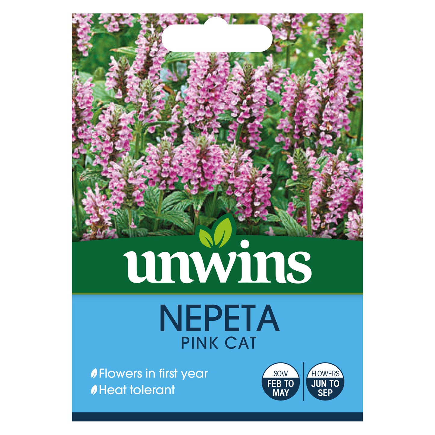 Unwins Nepeta Pink Cat Seeds front