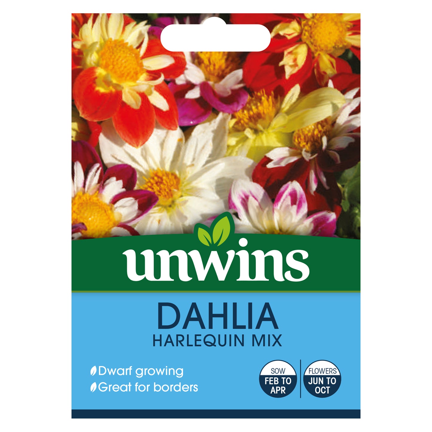 Unwins Dahlia Harlequin Mix Seeds - front