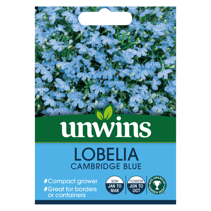 Unwins Bush Lobelia Cambridge Blue Seeds