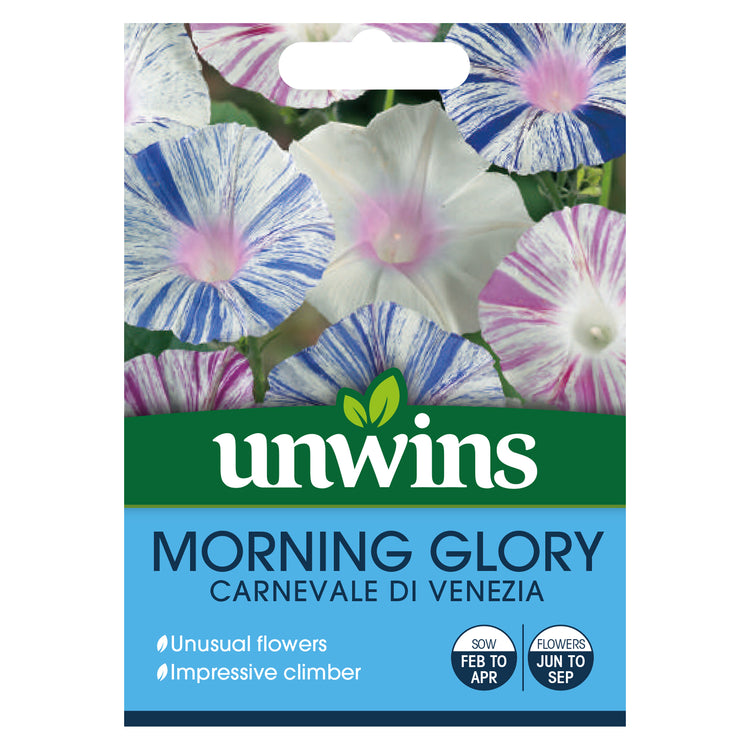 morning glory seeds for cluster headaches Unwins Morning Glory Carnevale di Venezia Seeds