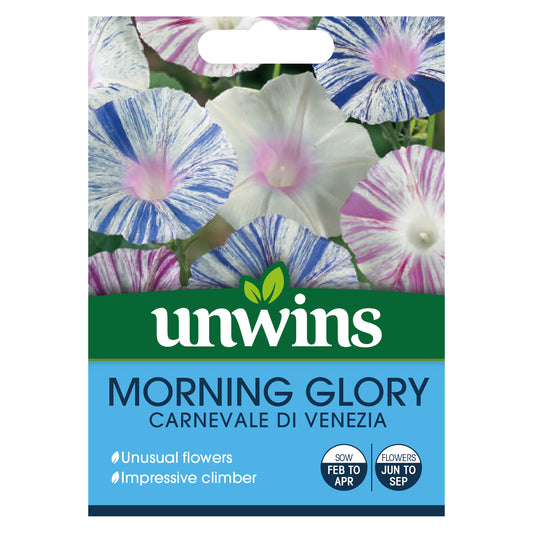 Unwins Morning Glory Carnevale di Venezia Seeds - front