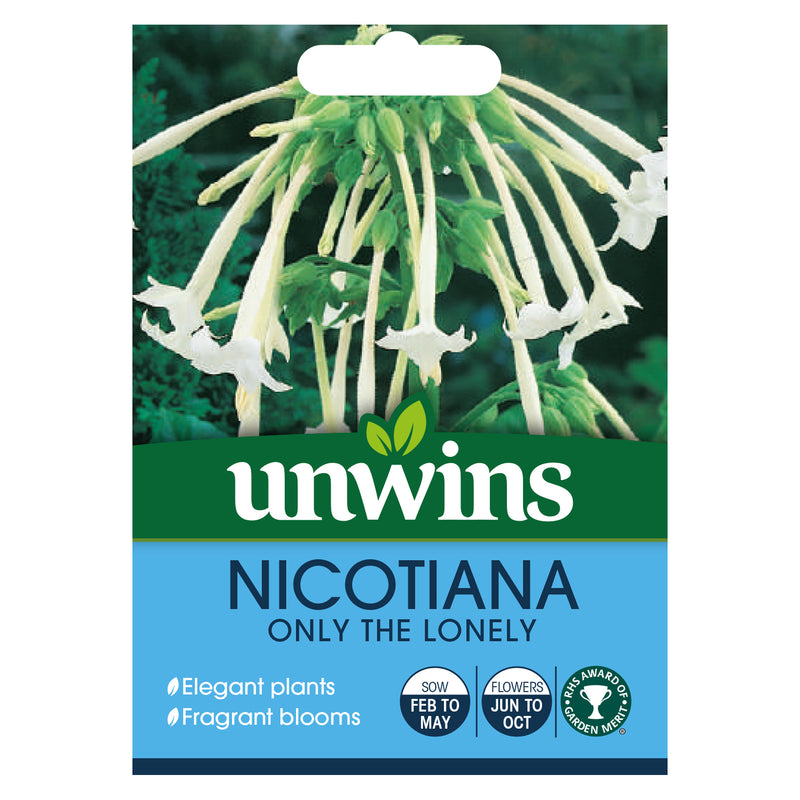 Unwins Nicotiana Sylvestris Only The Lonely Seeds